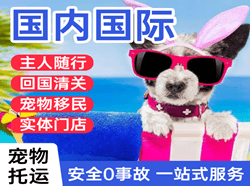 株洲芦淞航空空运国际宠物托运 【国